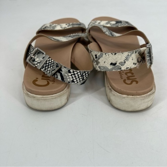 CIRCUS by Sam edelman snake skin print sandals size 10 - Picture 5 of 6